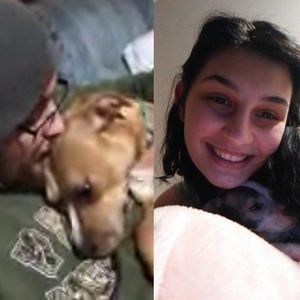 Meet your Posher, Dillon